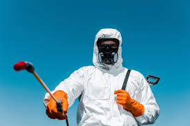 Best Termite Inspection and Treatment  in Evart, MI